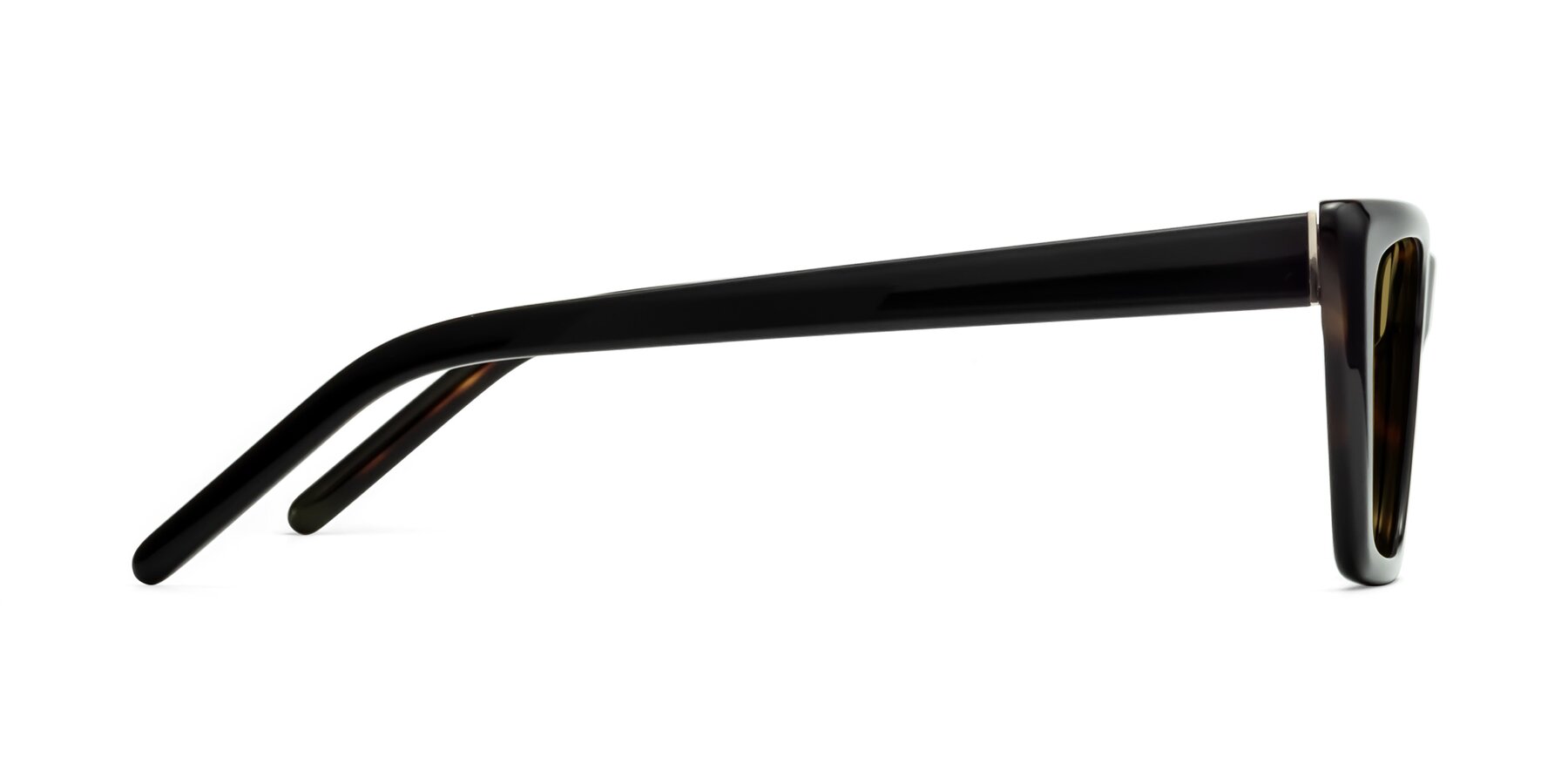 Side of 1494 in Tortoise with Brown Polarized Lenses
