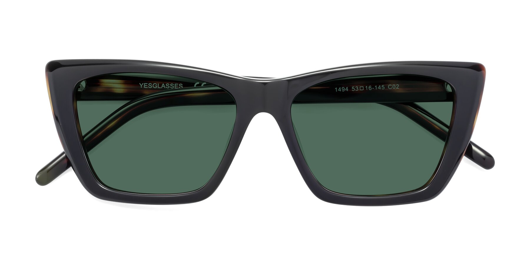 Folded Front of 1494 in Tortoise with Green Polarized Lenses