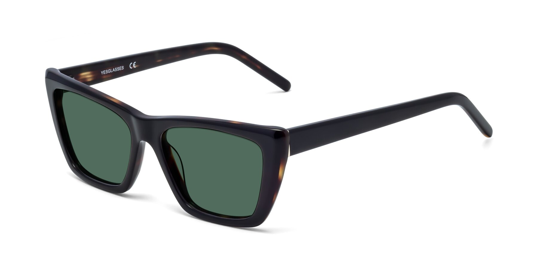 Angle of 1494 in Tortoise with Green Polarized Lenses