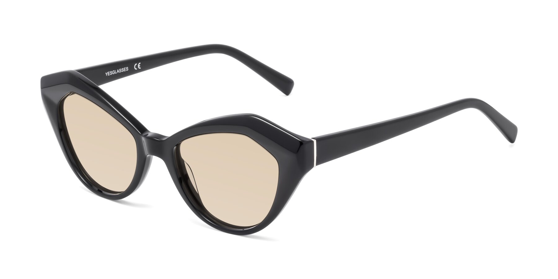 Angle of 1495 in Black with Light Brown Tinted Lenses