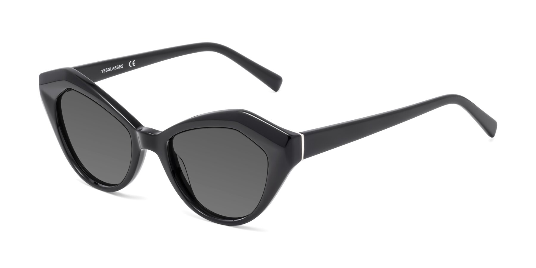 Angle of 1495 in Black with Medium Gray Tinted Lenses