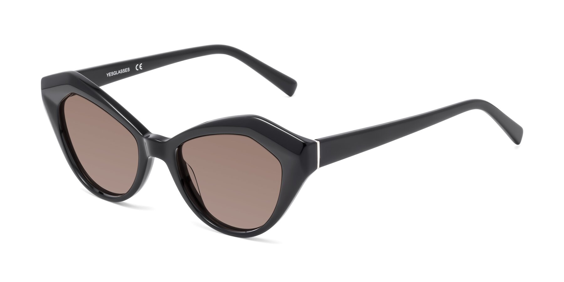 Angle of 1495 in Black with Medium Brown Tinted Lenses
