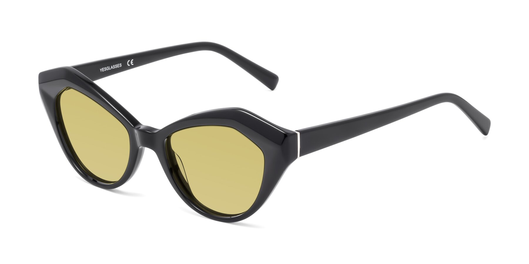 Angle of 1495 in Black with Medium Champagne Tinted Lenses