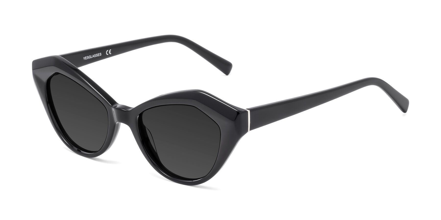 Angle of 1495 in Black with Gray Tinted Lenses