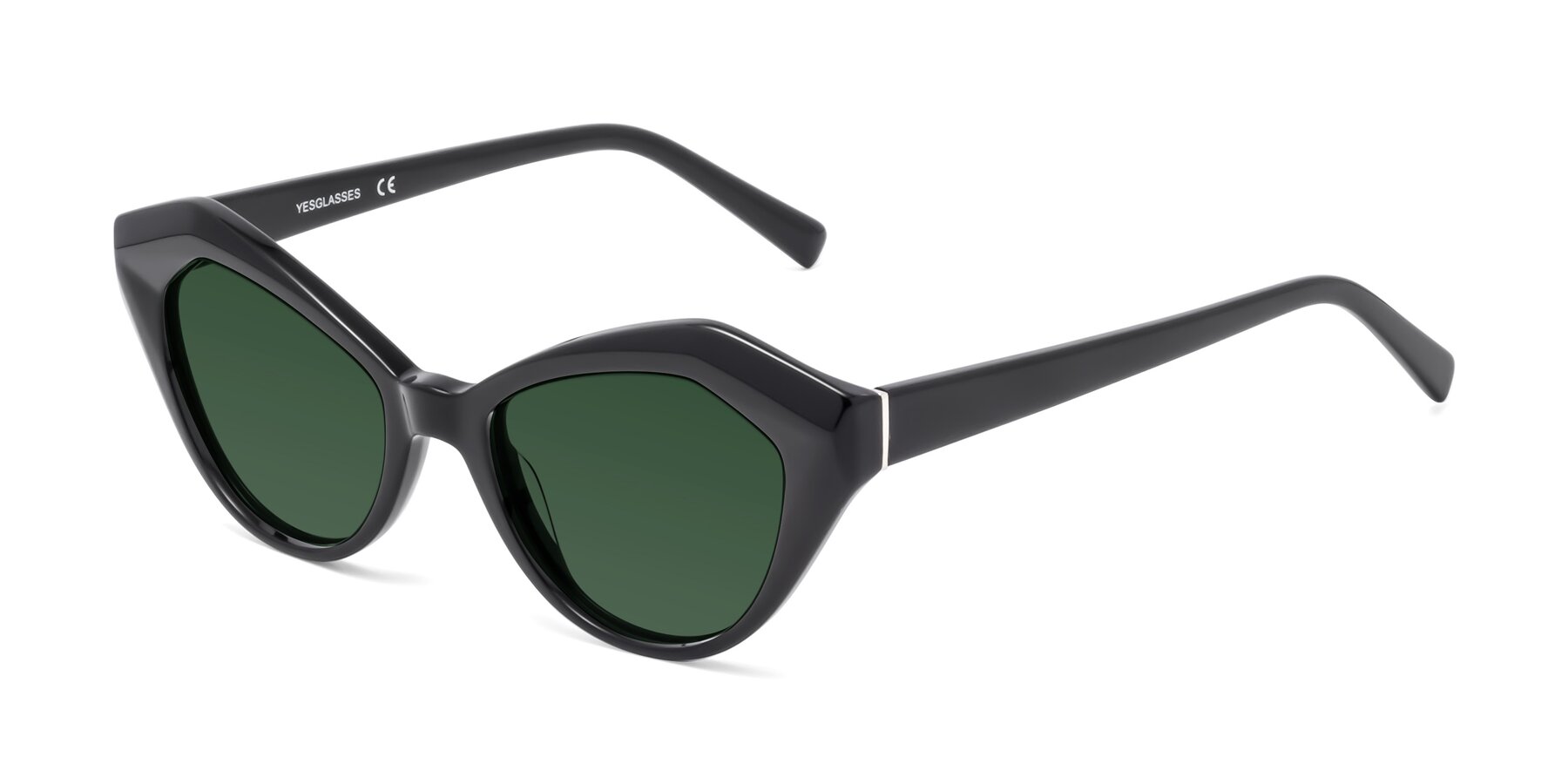 Angle of 1495 in Black with Green Tinted Lenses