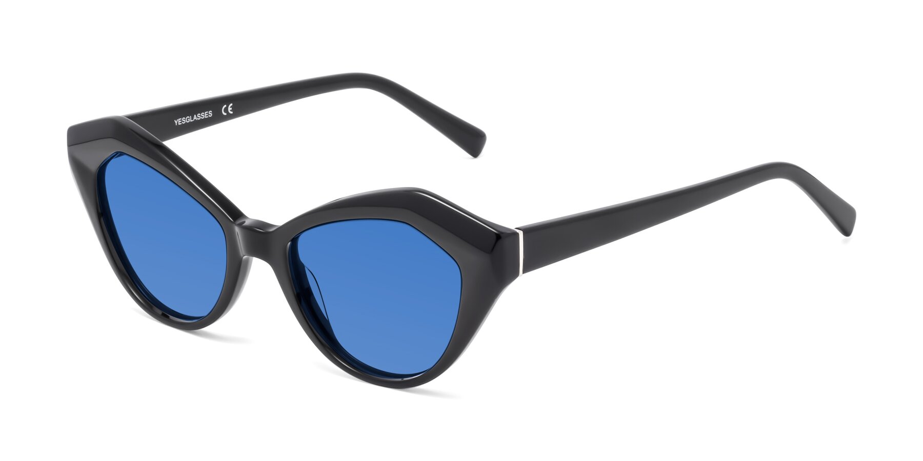 Angle of 1495 in Black with Blue Tinted Lenses