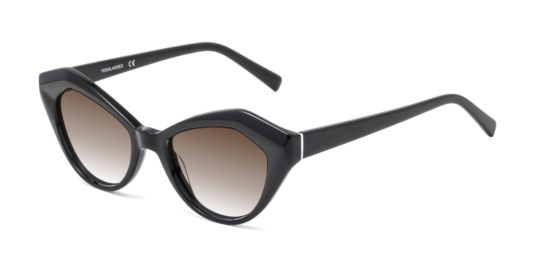 Angle of 1495 in Black with Brown Gradient Lenses