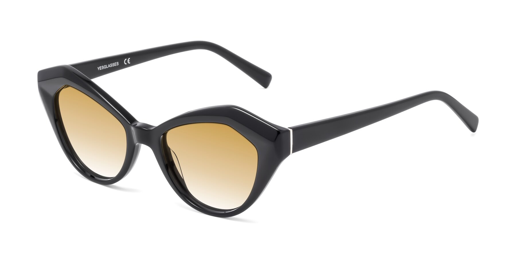 Angle of 1495 in Black with Champagne Gradient Lenses