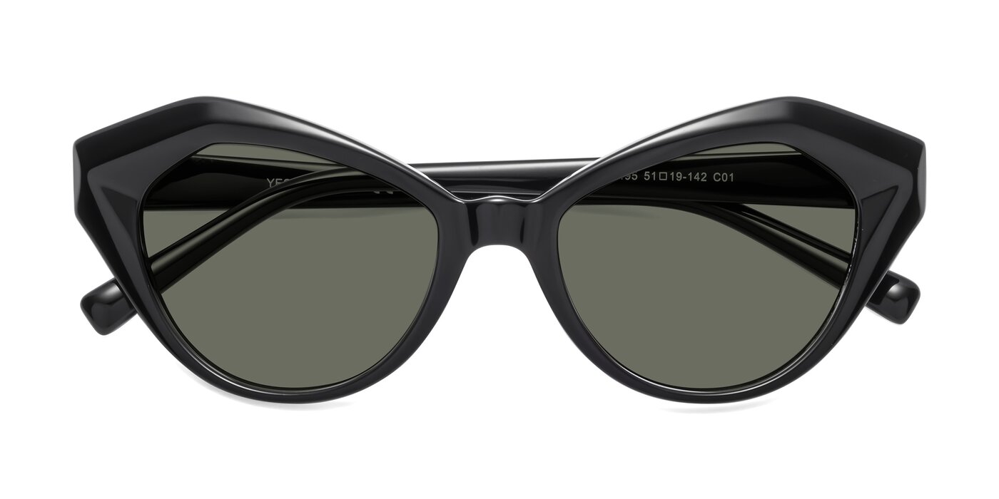 1495 - Black Polarized Sunglasses
