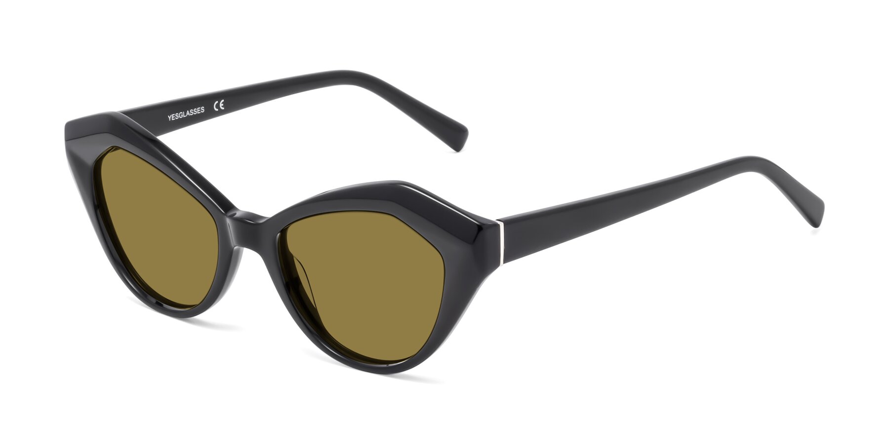 Angle of 1495 in Black with Brown Polarized Lenses