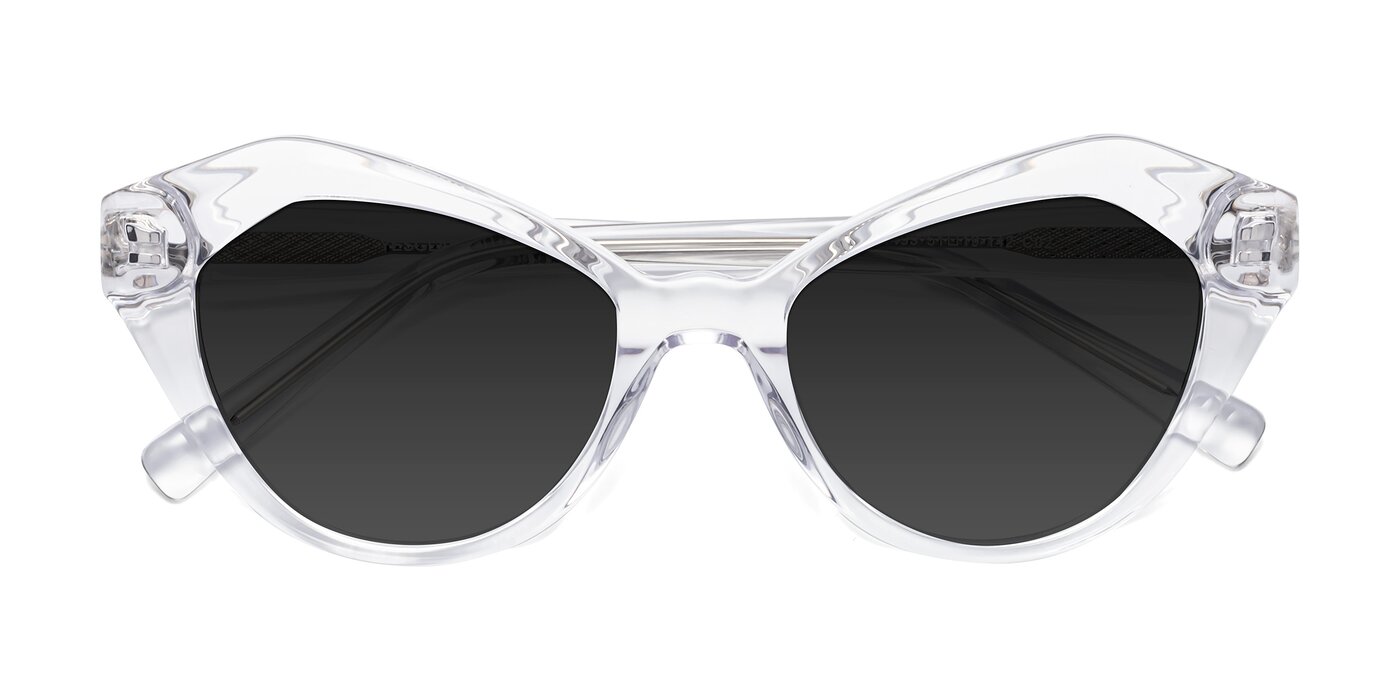 1495 - Clear Polarized Sunglasses