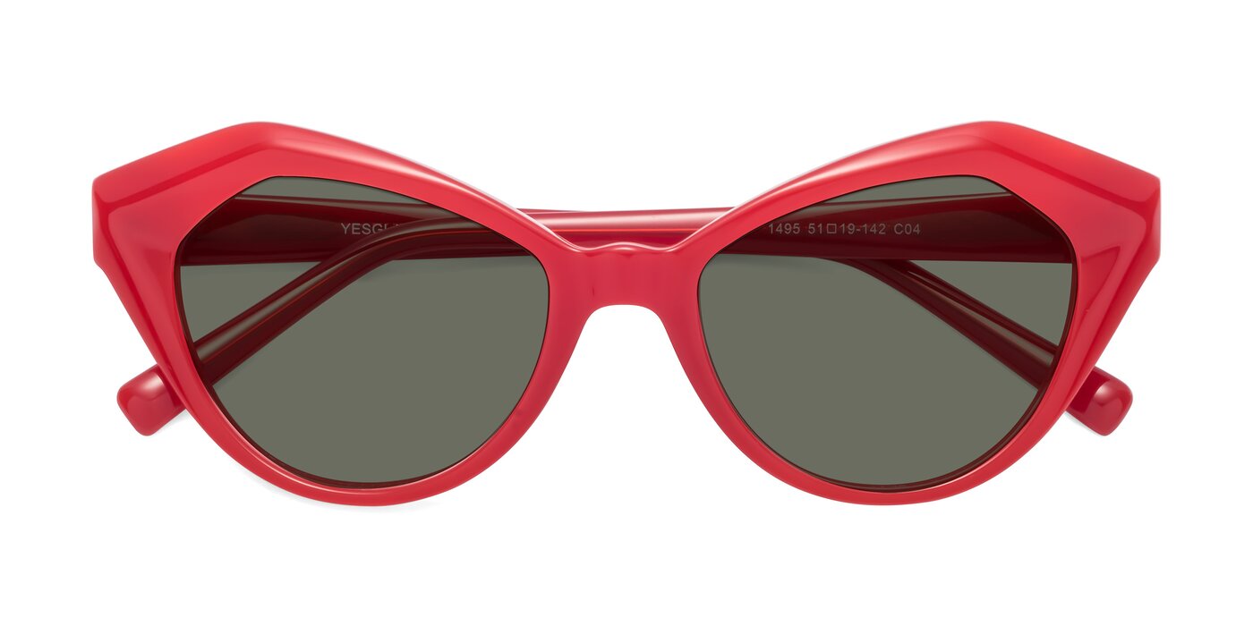 1495 - Blaze Polarized Sunglasses