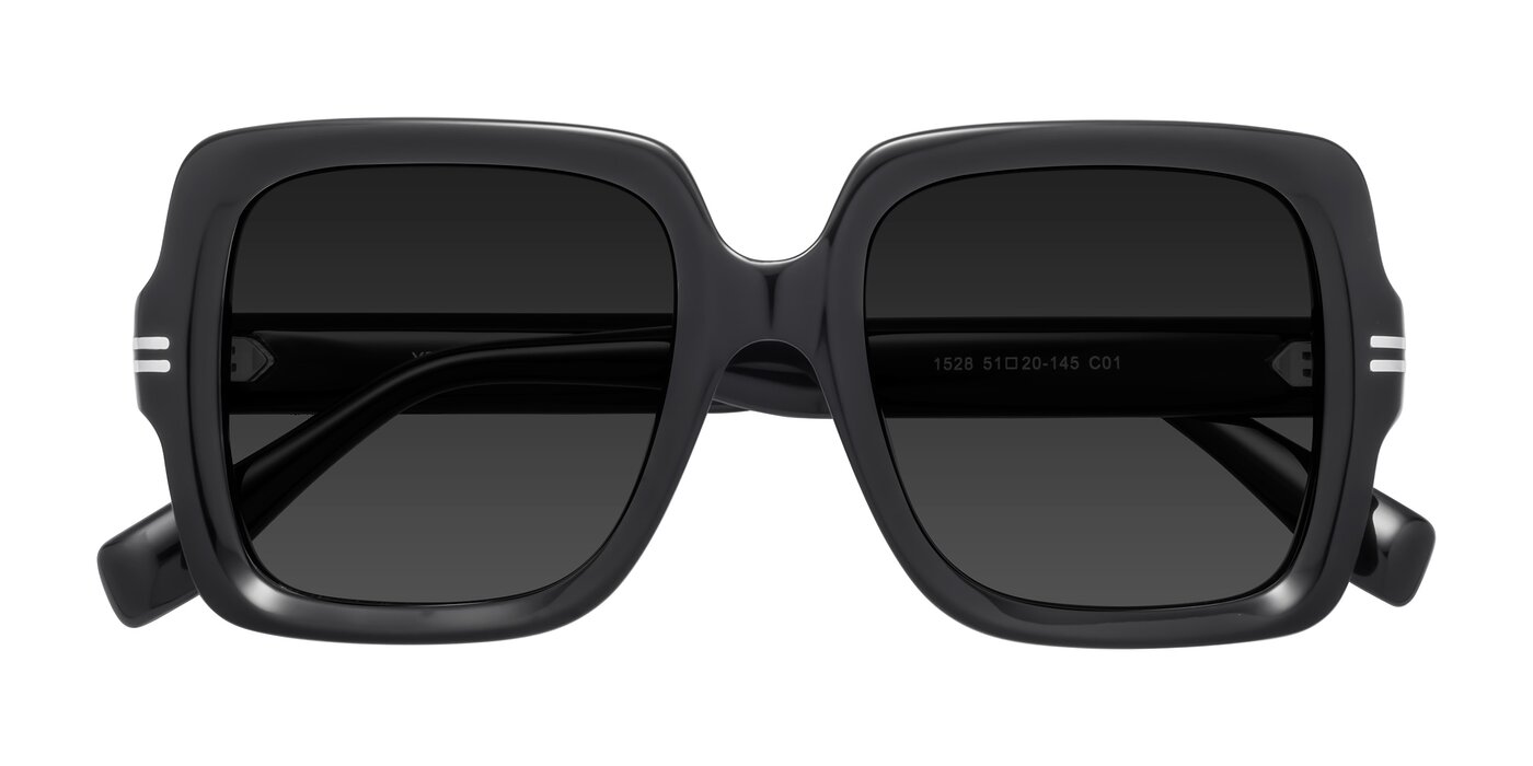1528 - Black Polarized Sunglasses