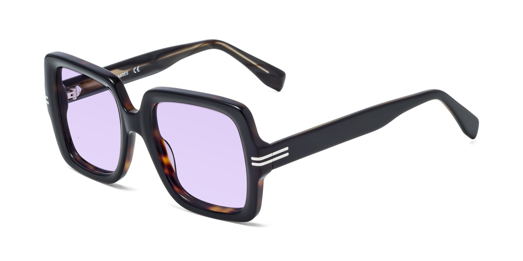 Angle of 1528 in Tortoise with Light Purple Tinted Lenses