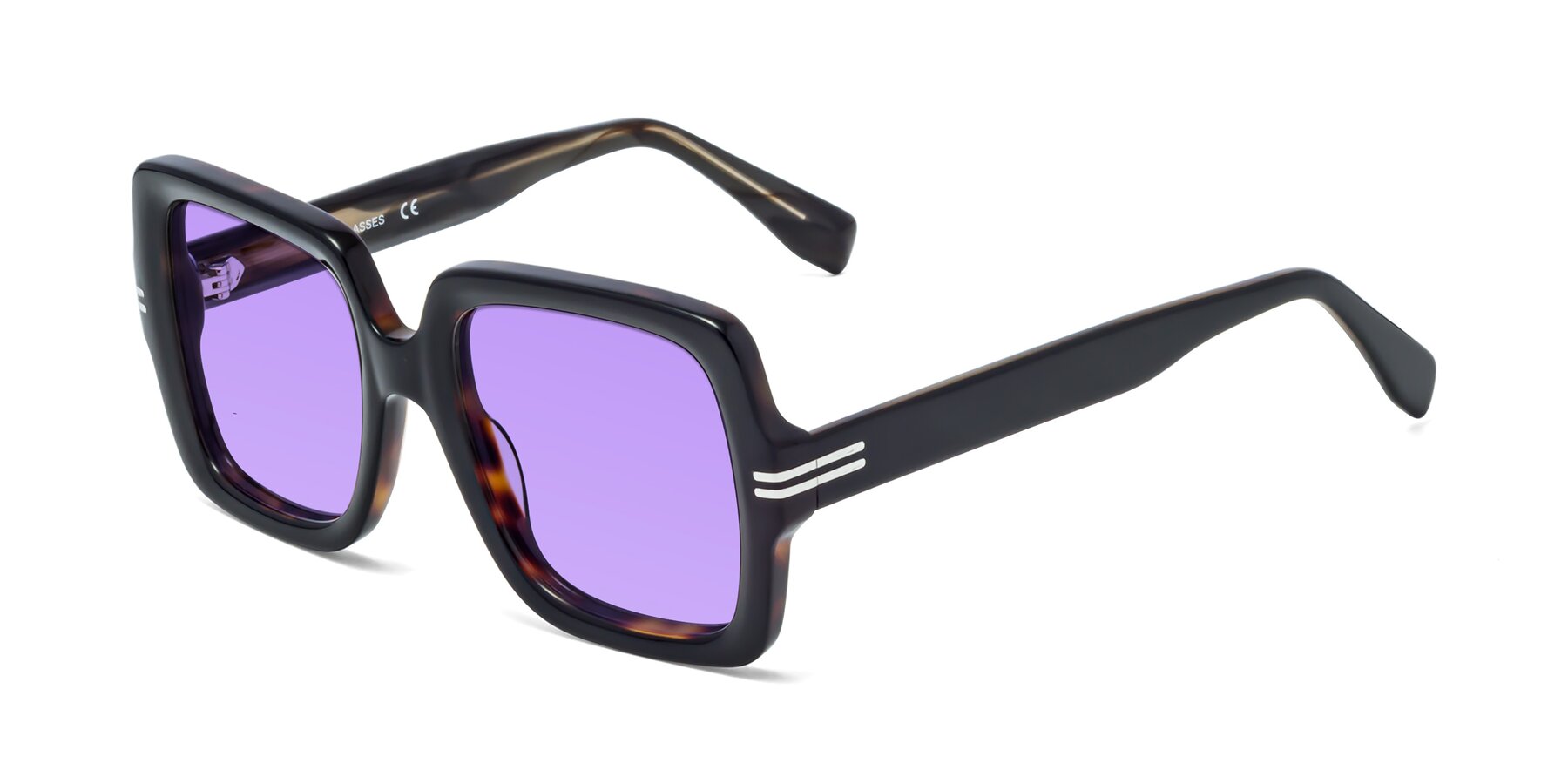 Angle of 1528 in Tortoise with Medium Purple Tinted Lenses