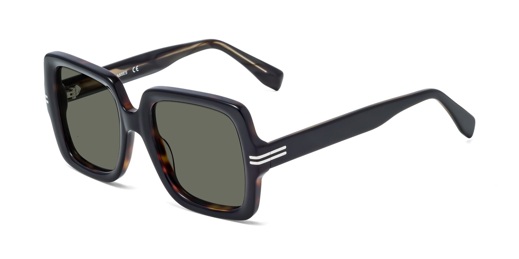 Angle of 1528 in Tortoise with Gray Polarized Lenses