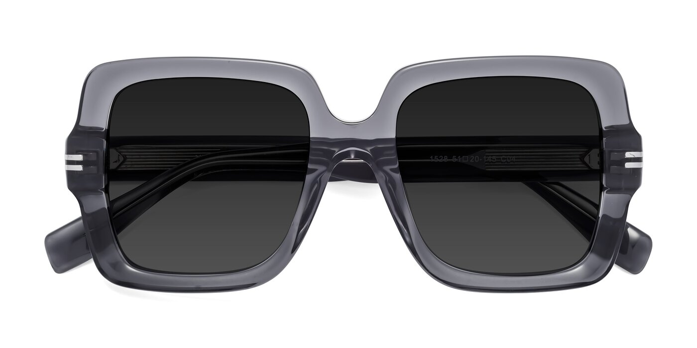 1528 - Gray Polarized Sunglasses