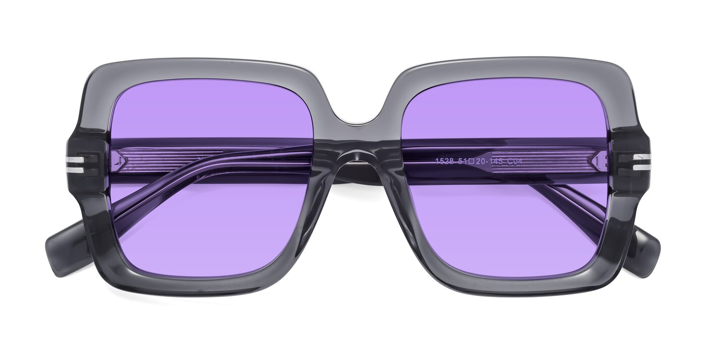 1528 - Gray Tinted Sunglasses