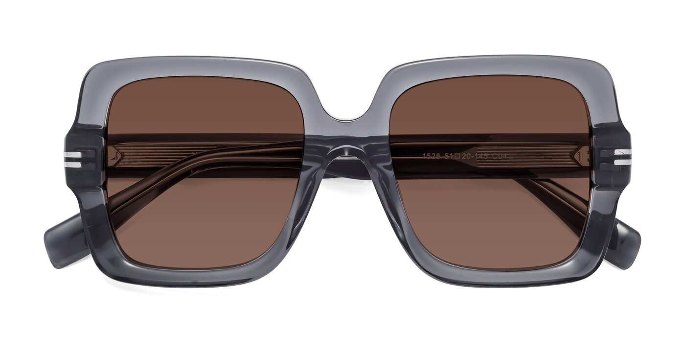 1528 - Gray Tinted Sunglasses