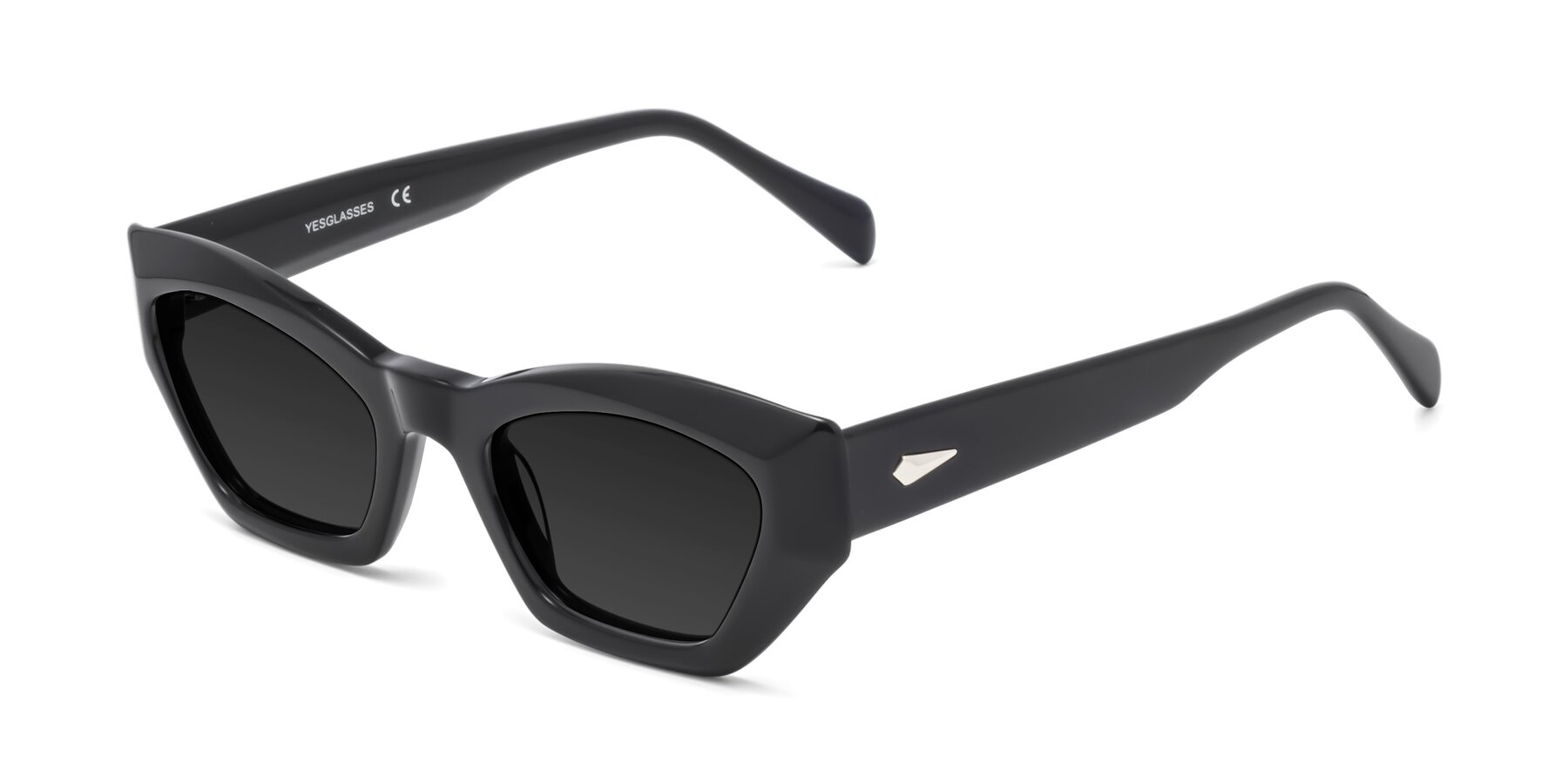 Angle of 1549 in Black with Gray Polarized TAC Lenses