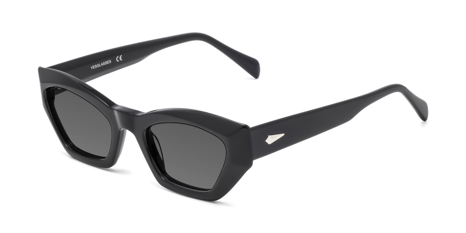 Angle of 1549 in Black with Medium Gray Tinted Lenses