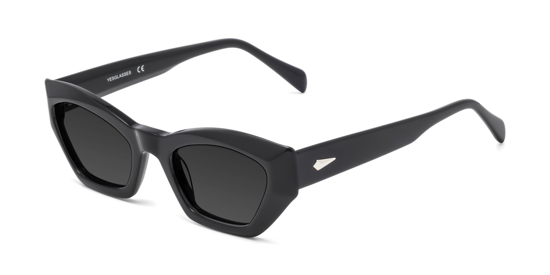 Angle of 1549 in Black with Gray Tinted Lenses