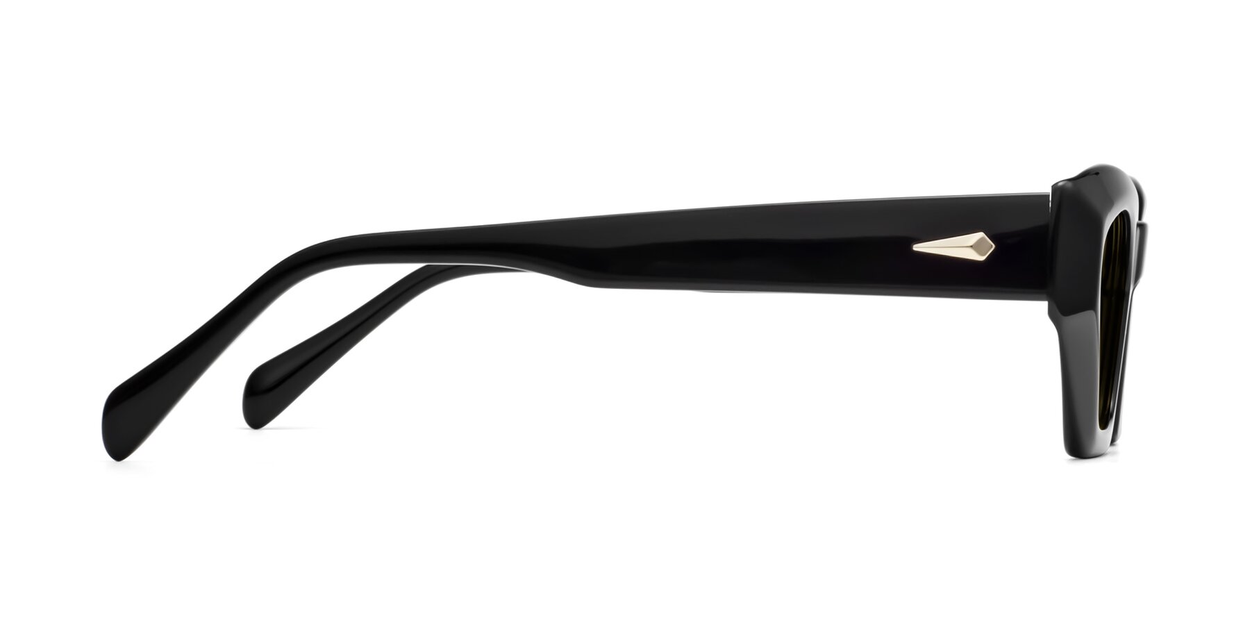 Side of 1549 in Black with Brown Polarized Lenses