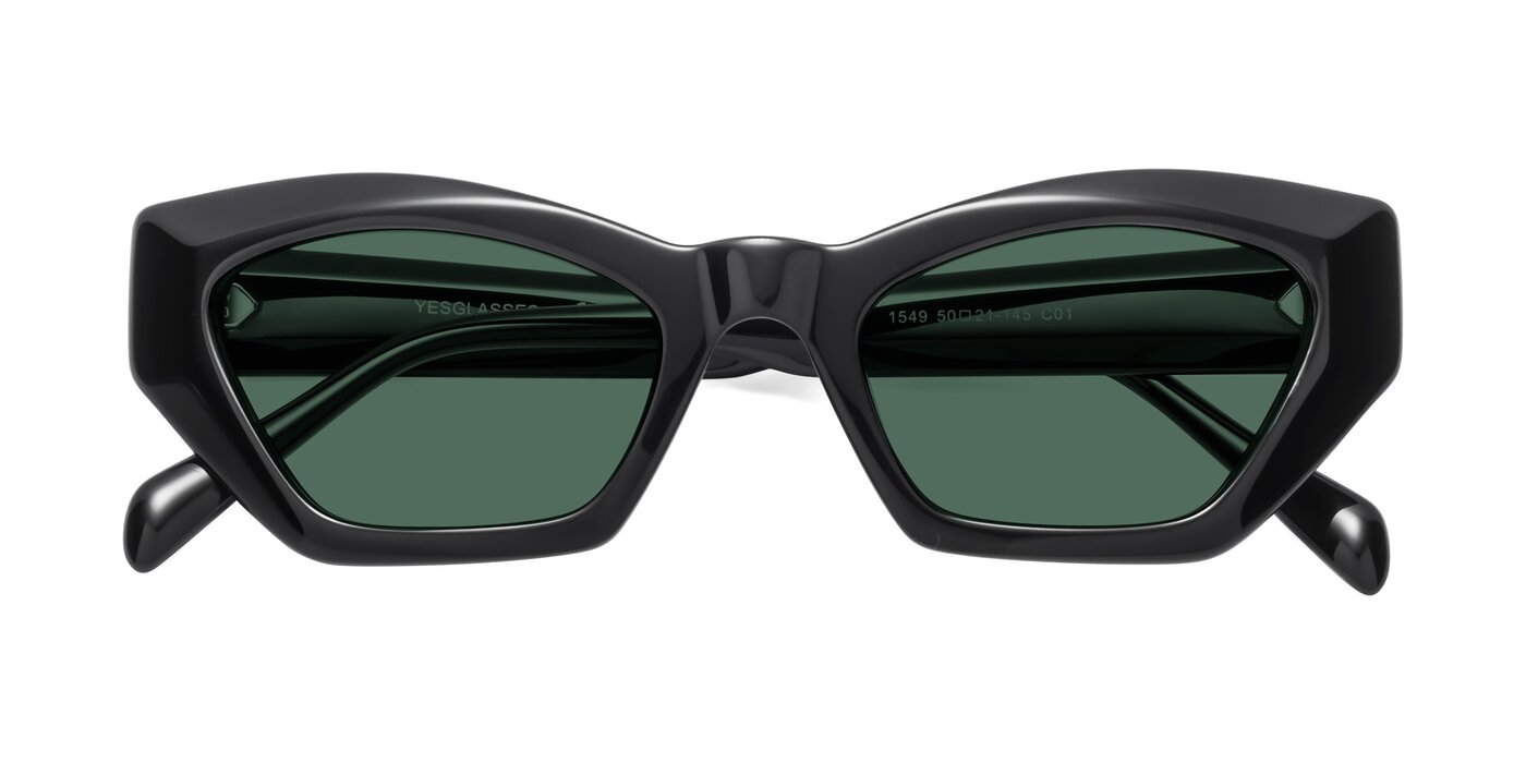 1549 - Black Polarized Sunglasses