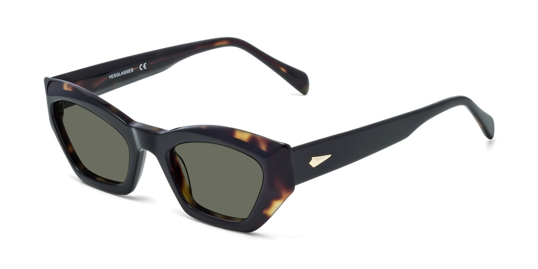 Angle of 1549 in Tortoise with Gray Polarized Lenses