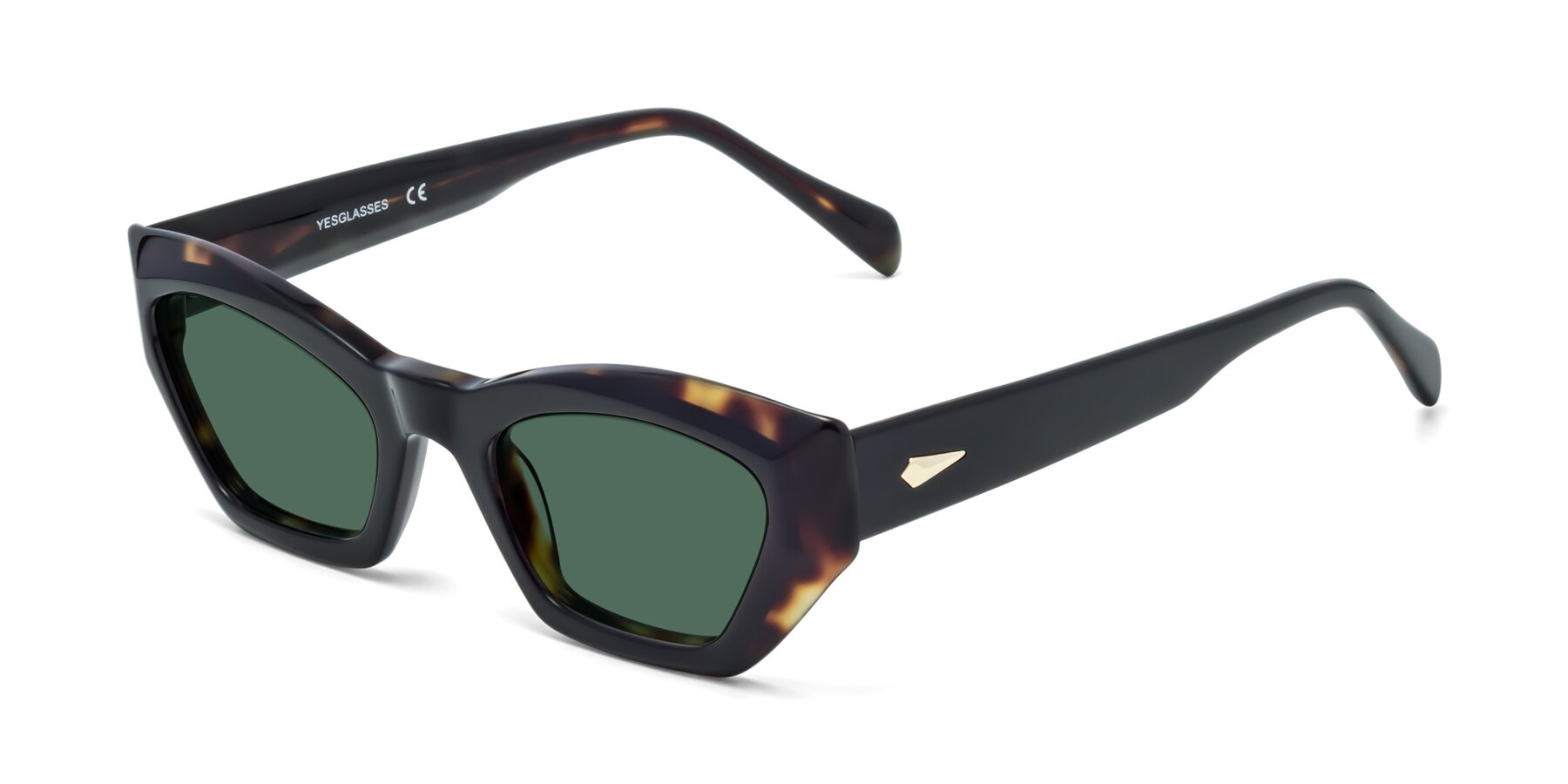 Angle of 1549 in Tortoise with Green Polarized Lenses