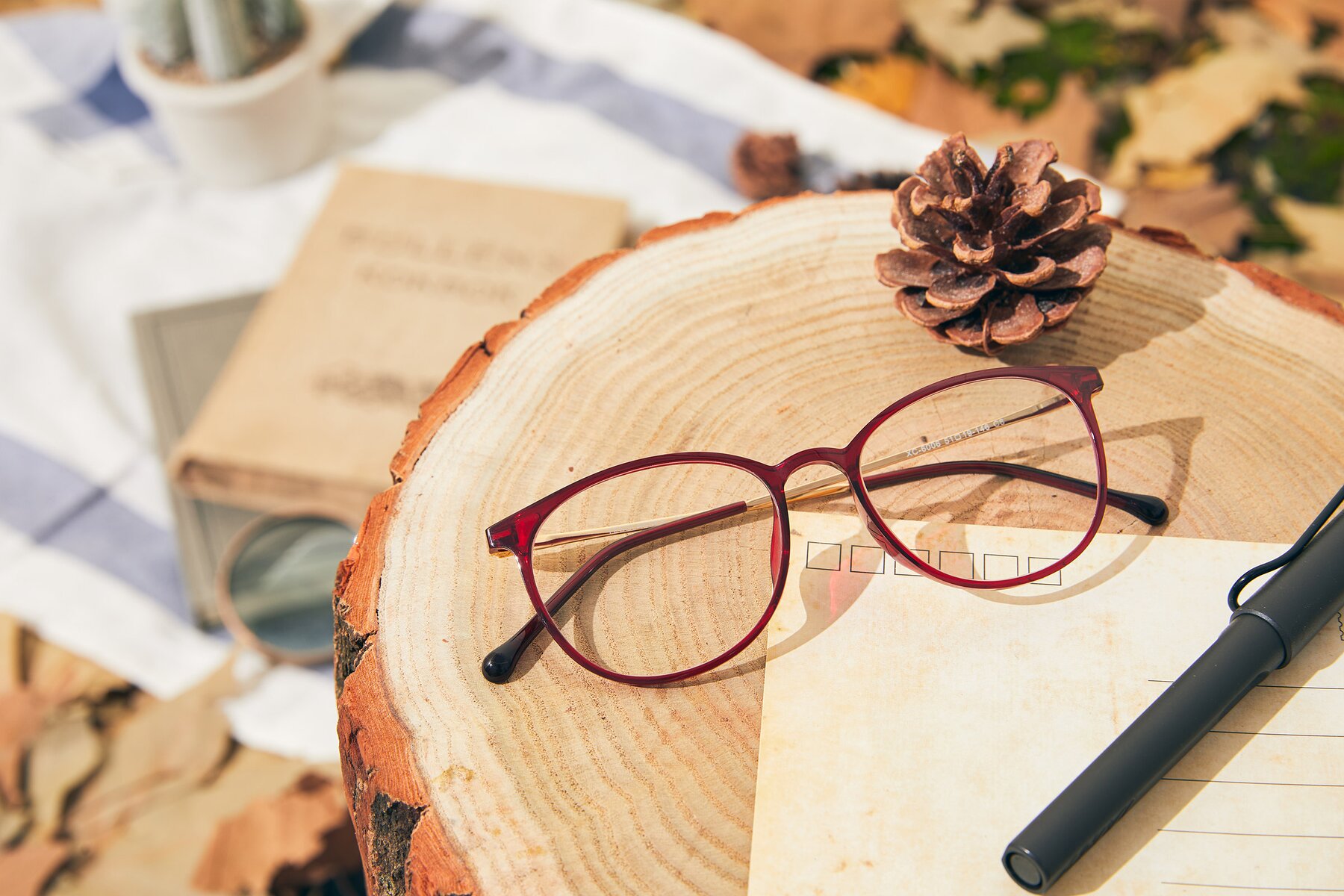 Lifestyle photography #1 of XC-6006 in Wine-Gold with Clear Eyeglass Lenses