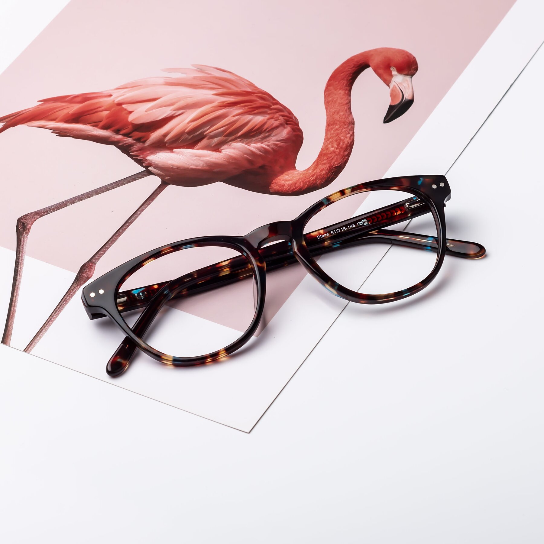 Lifestyle photography #1 of Blaze in Floral Tortoise with Clear Eyeglass Lenses