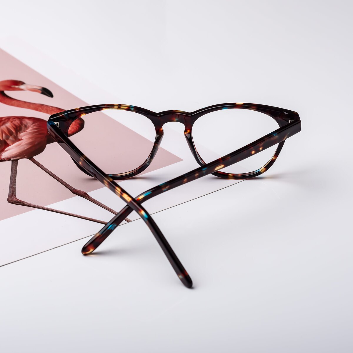 Floral Tortoise Retro-Vintage Classic Acetate Eyeglasses - Blaze