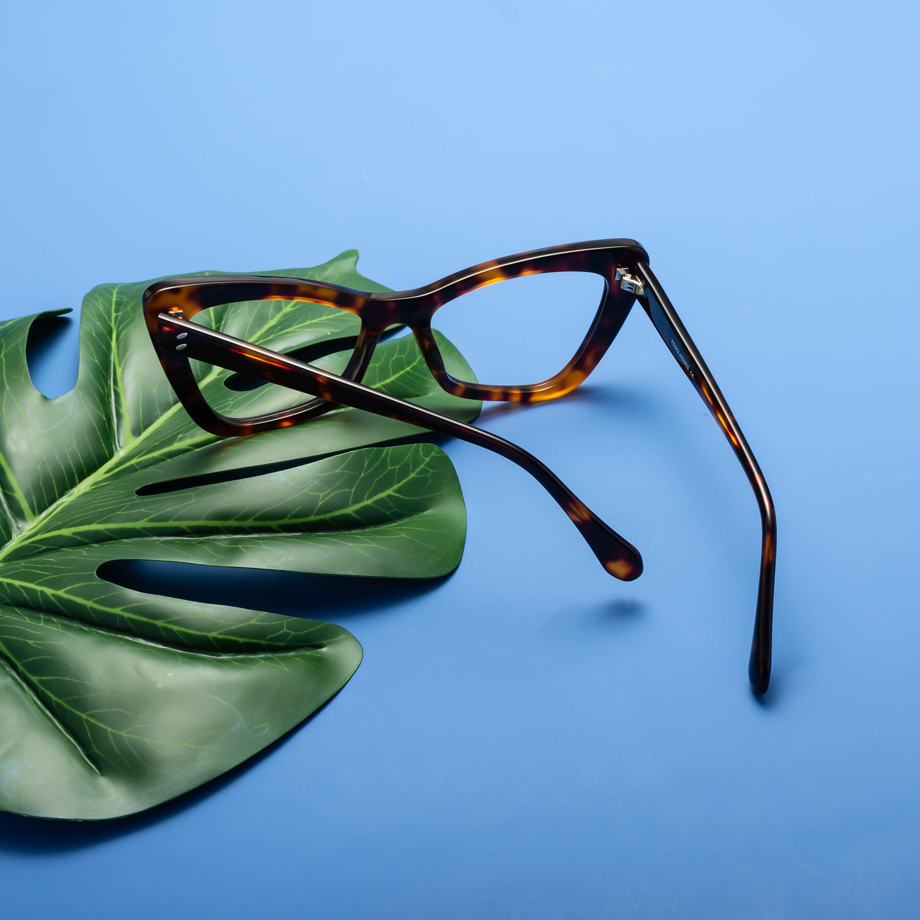 Women's lifestyle photography #1 of Rua in Tortoise with Clear Blue Light Blocking Lenses