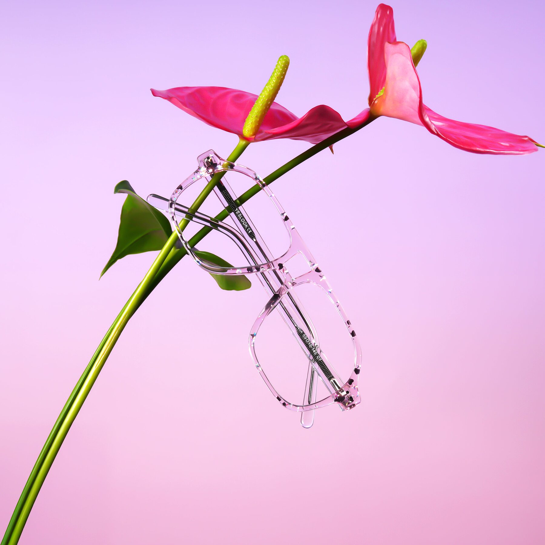 Lifestyle photography #1 of Kingston in Sparkling Blush with Clear Reading Eyeglass Lenses