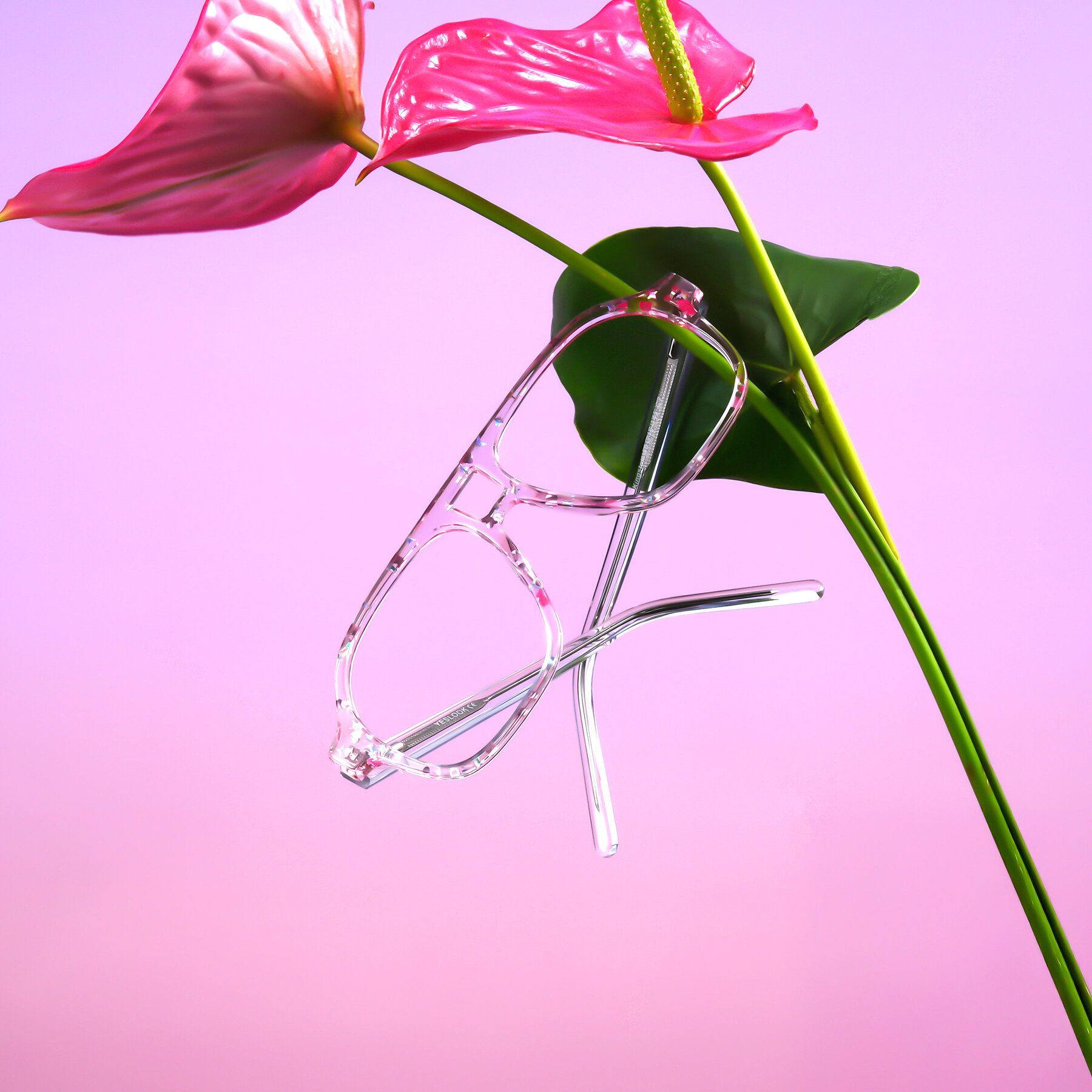 Lifestyle photography #2 of Kingston in Sparkling Blush with Clear Reading Eyeglass Lenses