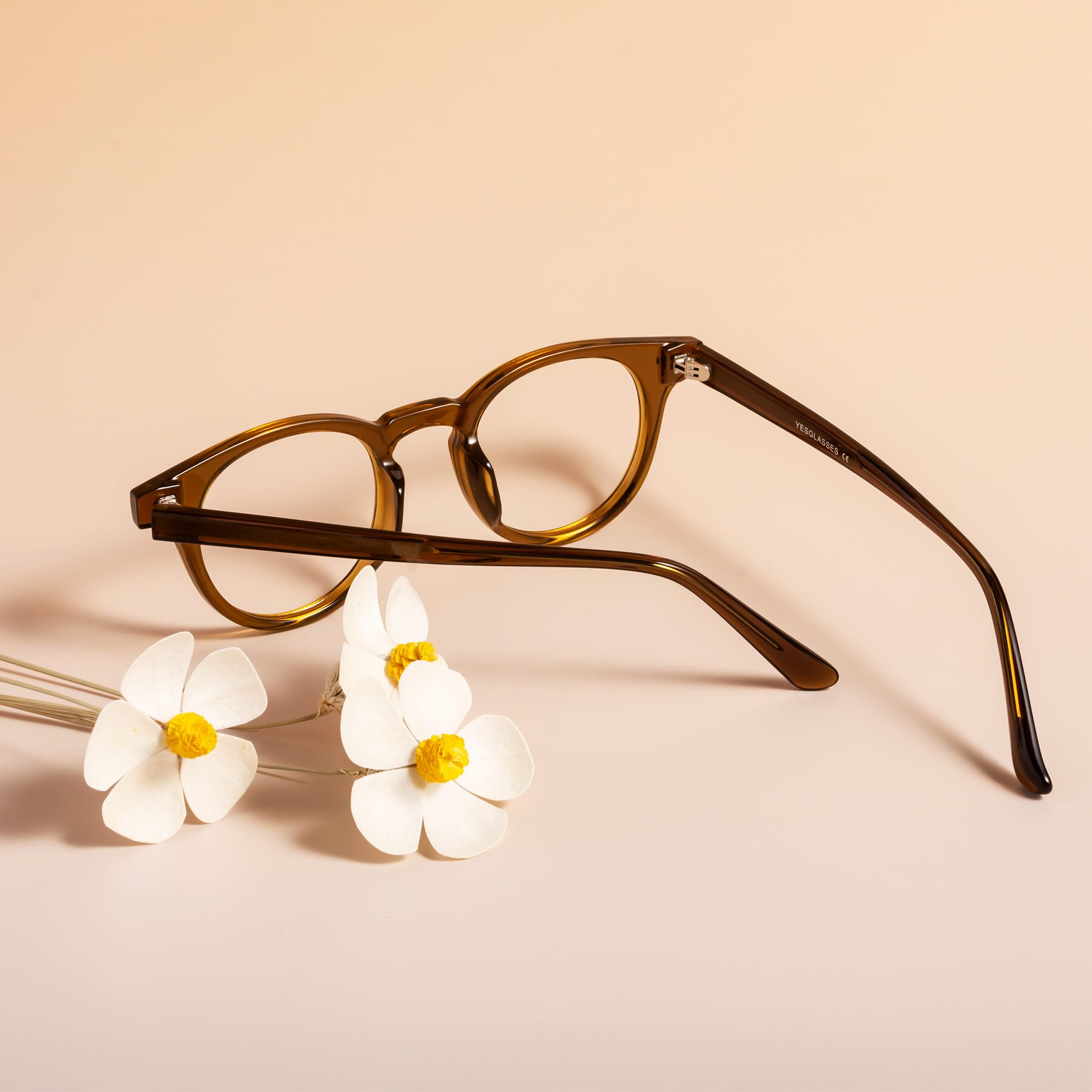 Lifestyle photography #2 of Sweet in Muddy Brown with Clear Reading Eyeglass Lenses