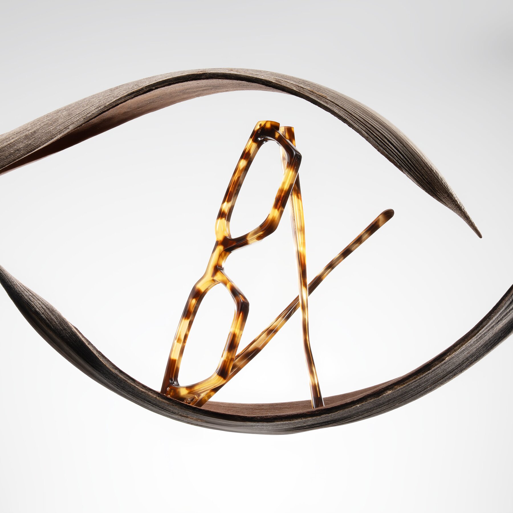 Lifestyle photography #1 of Callan in Honey Tortoise with Clear Eyeglass Lenses