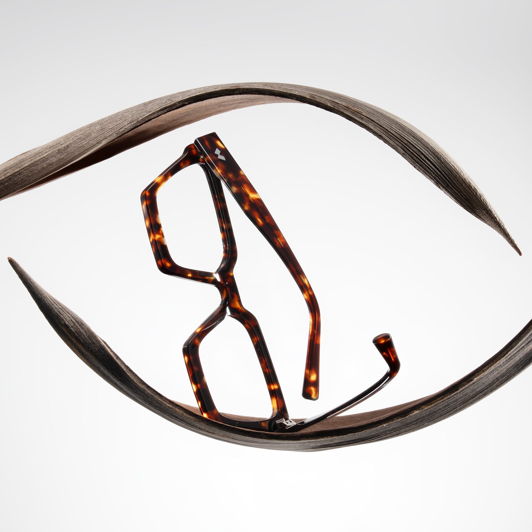 Lifestyle photography #2 of Callan in Tortoise with Clear Eyeglass Lenses