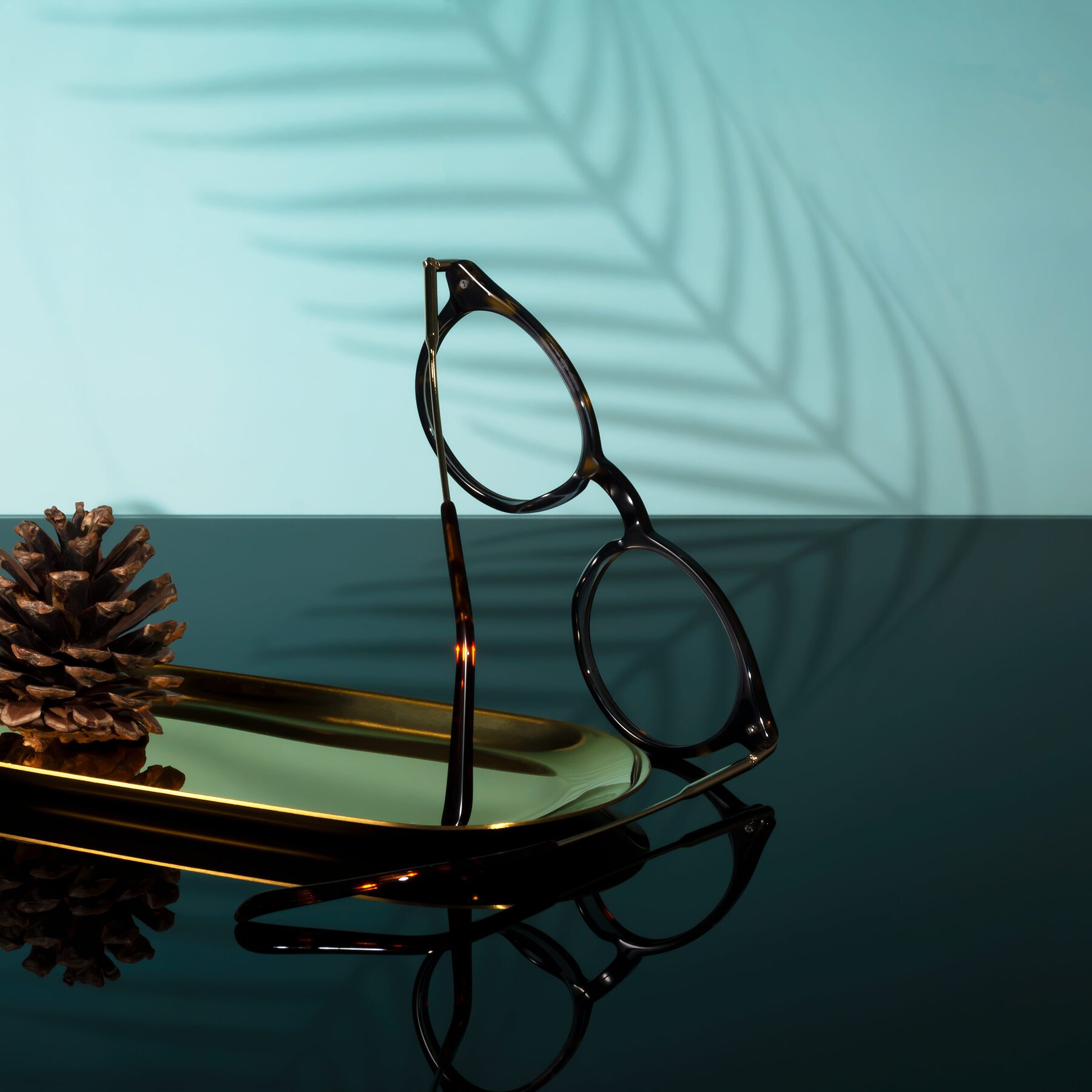 Lifestyle photography #2 of Gupta in Tortoise with Clear Eyeglass Lenses