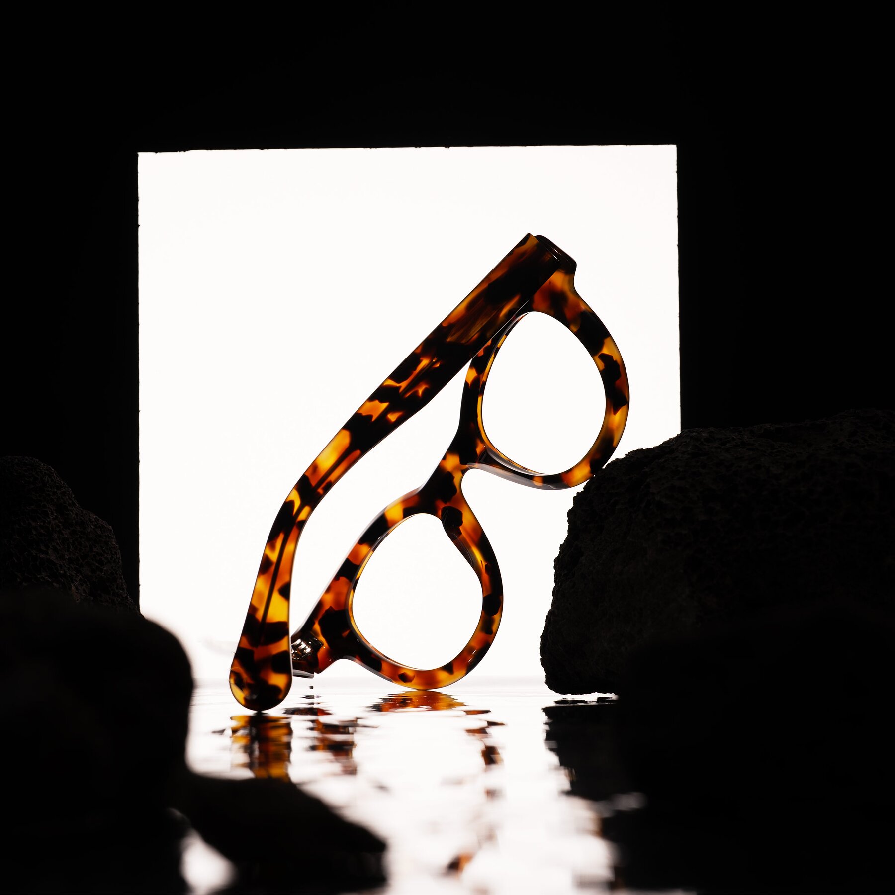 Lifestyle photography #2 of Embracing in Tortoise with Clear Eyeglass Lenses