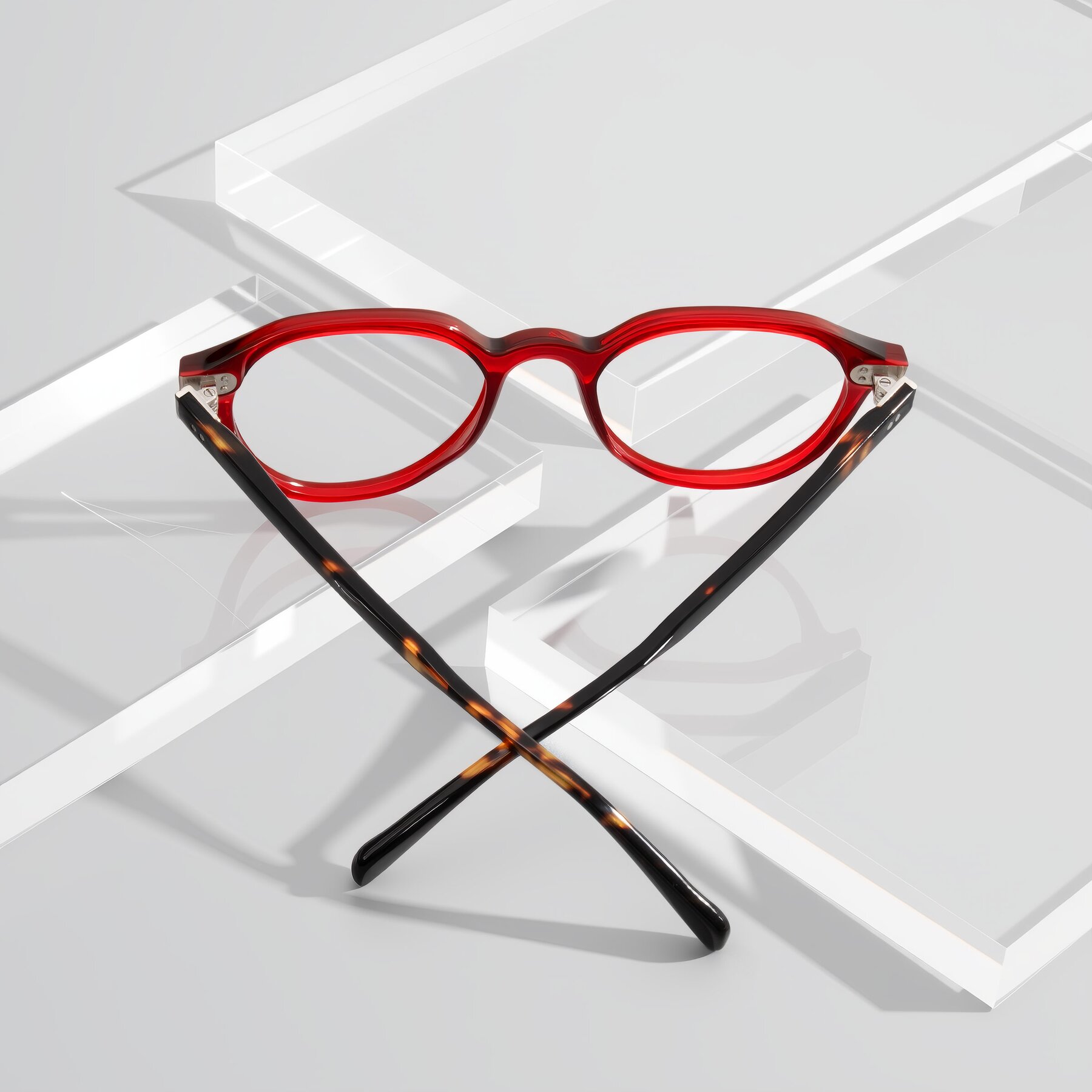 Lifestyle photography #2 of Cotaii in Wine/Tortoise with Clear Reading Eyeglass Lenses