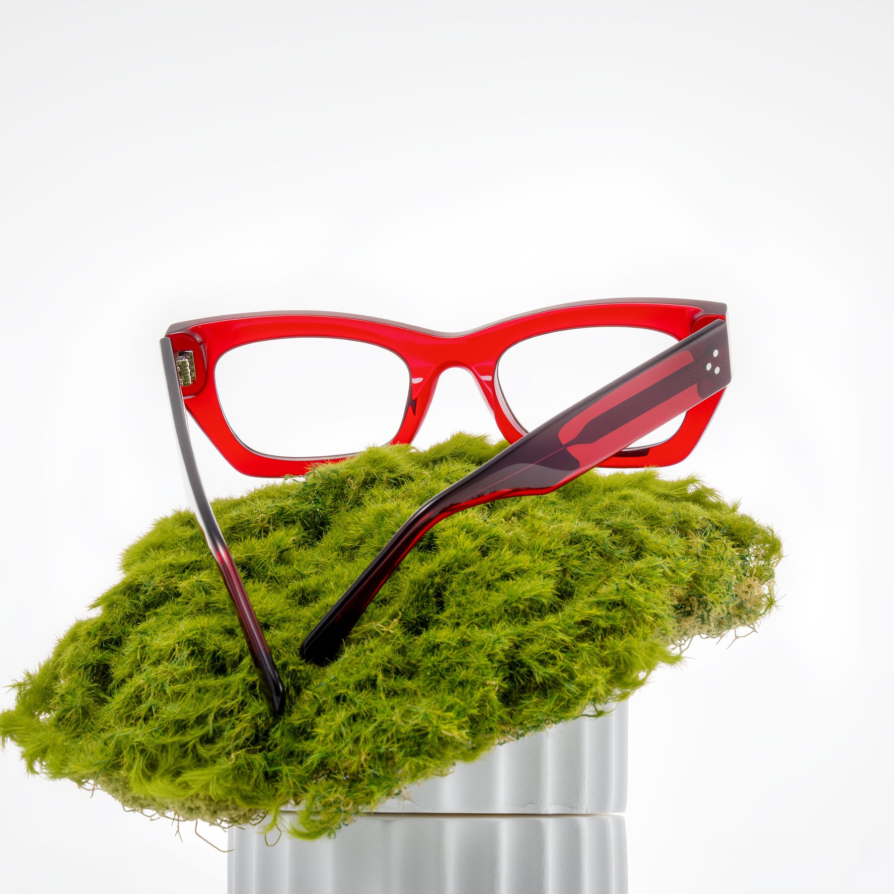 Lifestyle photography #2 of Rex in Wine with Clear Eyeglass Lenses