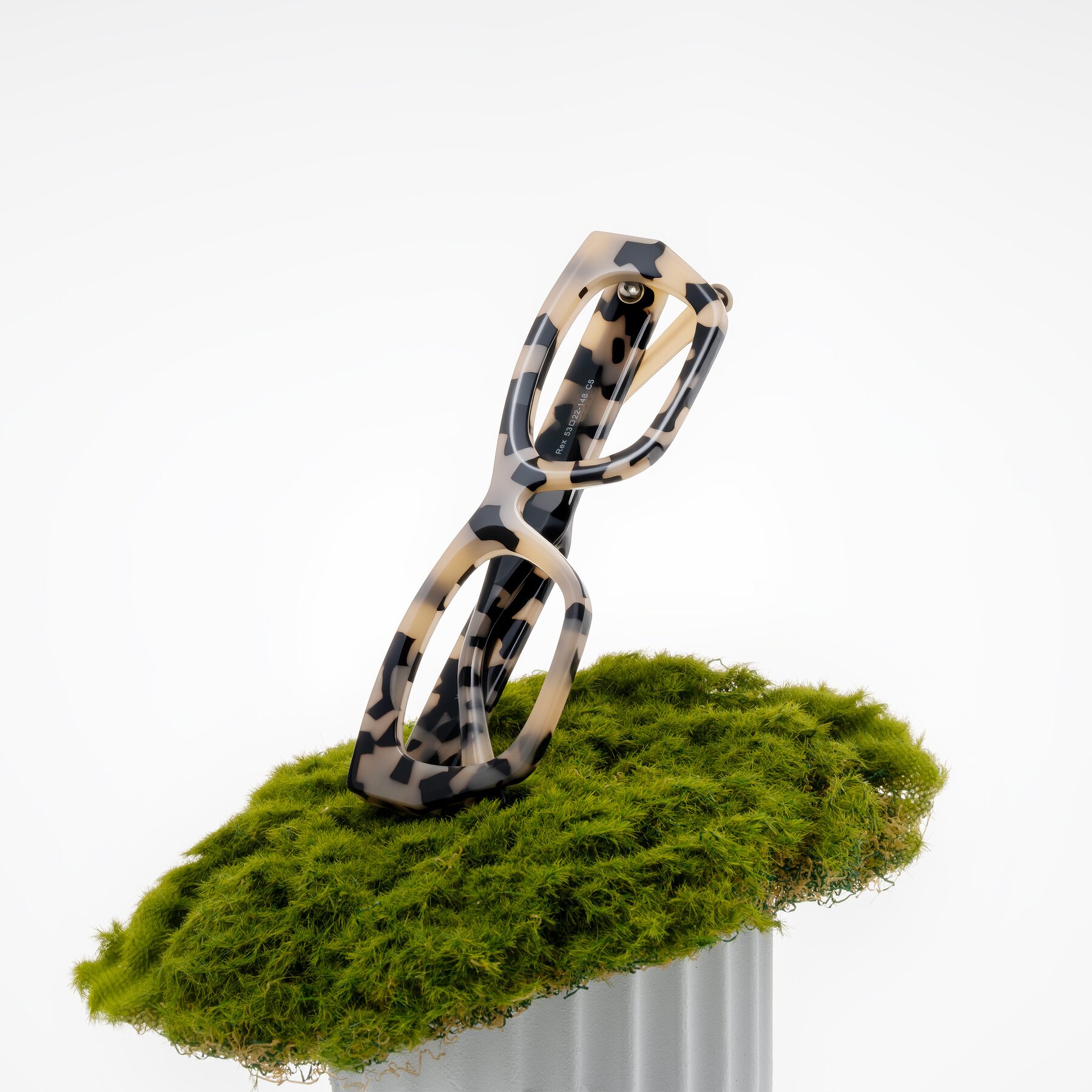 Lifestyle photography #1 of Rex in Ivory Tortoise with Clear Eyeglass Lenses