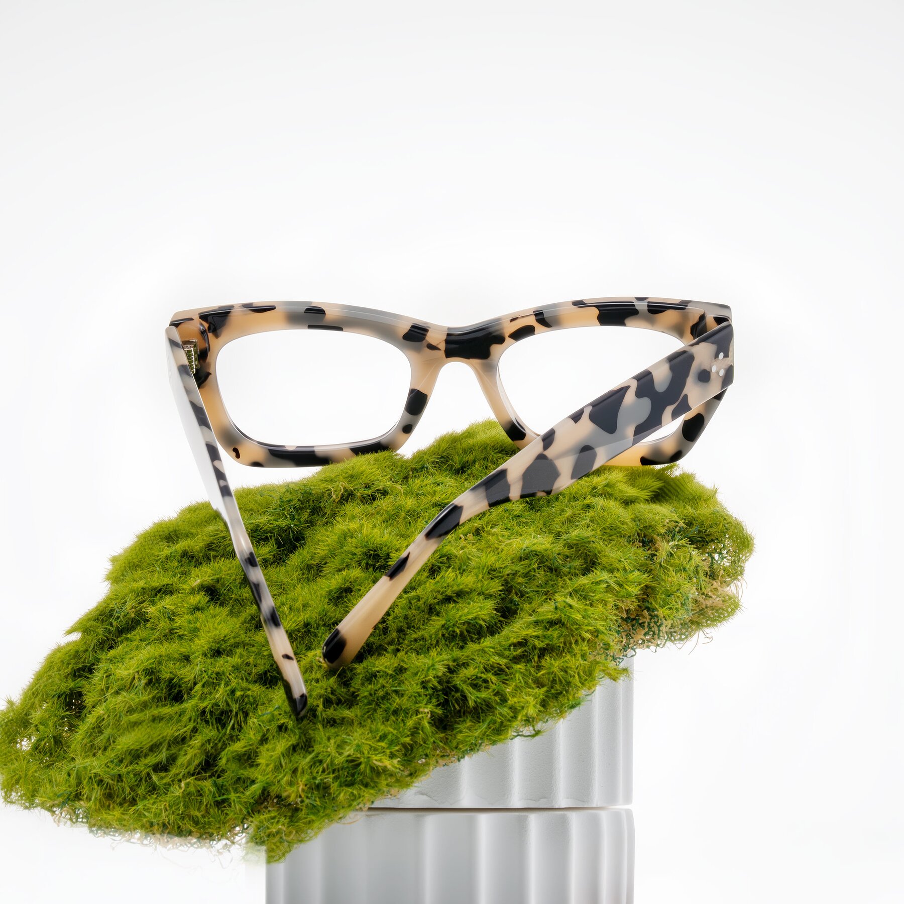 Lifestyle photography #2 of Rex in Ivory Tortoise with Clear Eyeglass Lenses