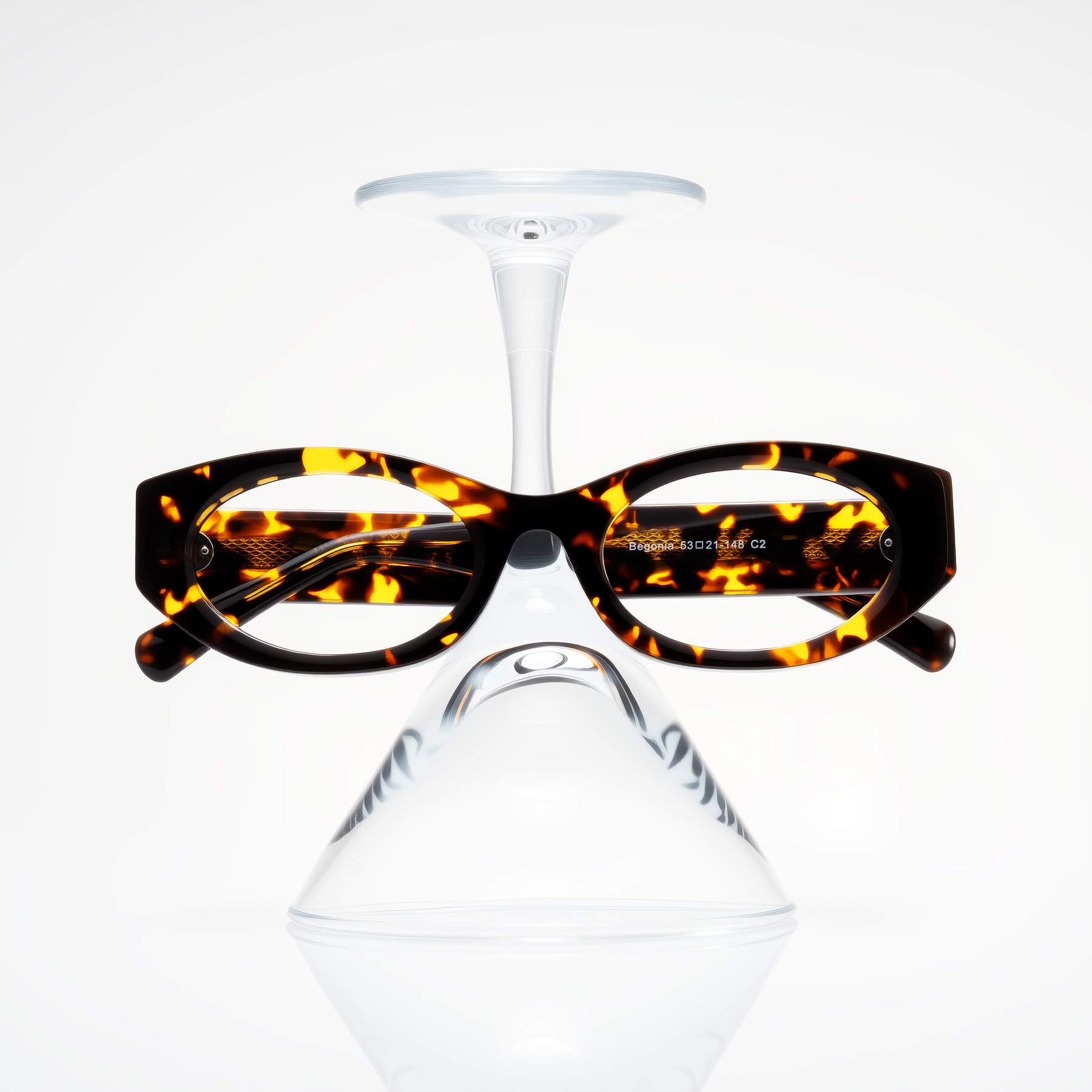 Lifestyle photography #1 of Begonia in Tortoise with Clear Eyeglass Lenses