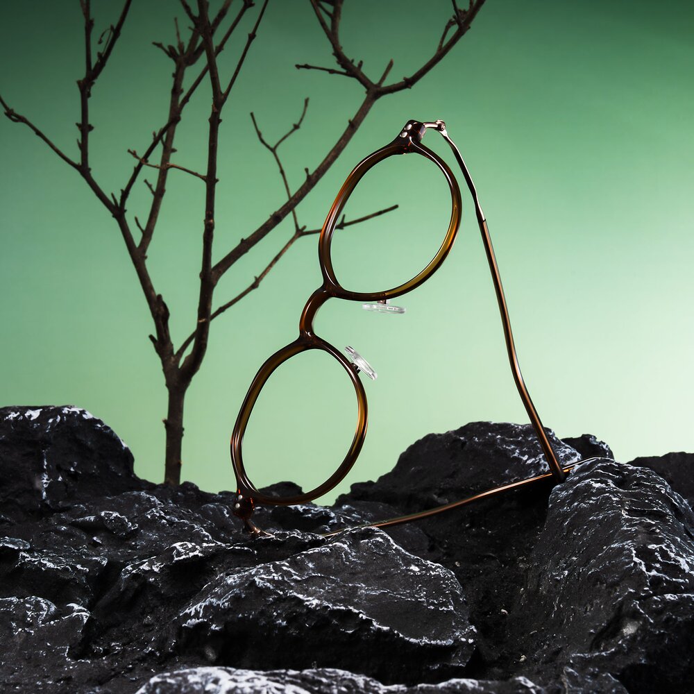 Brown TR90 Round Geometric Eyeglasses